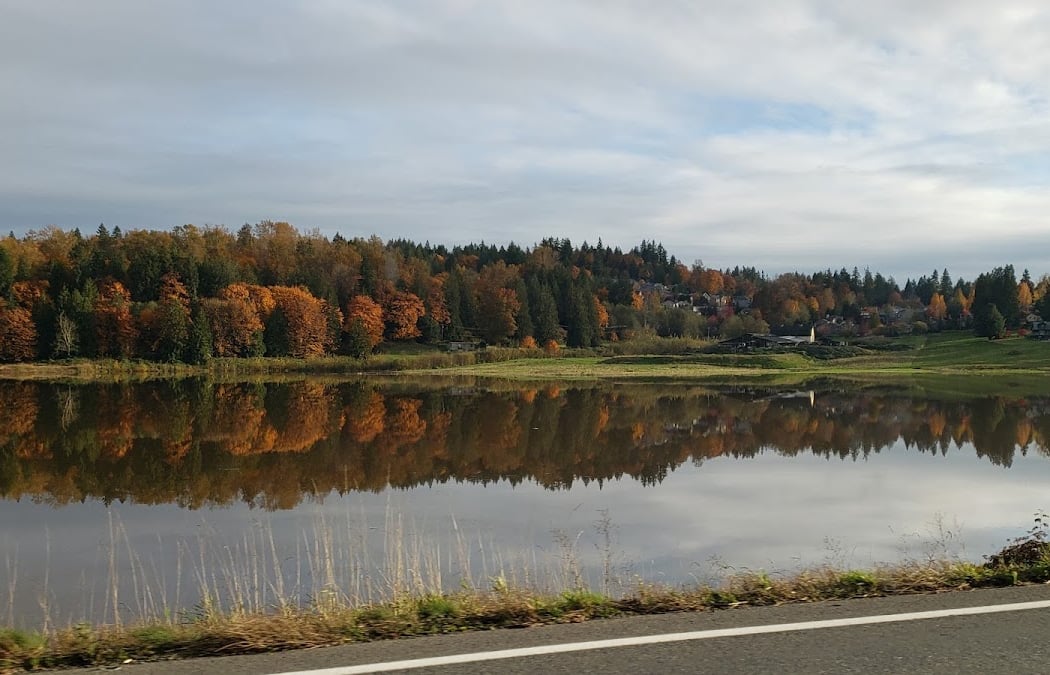 Living with Beavers: Coexistence Strategies and Resources for Land Managers 2