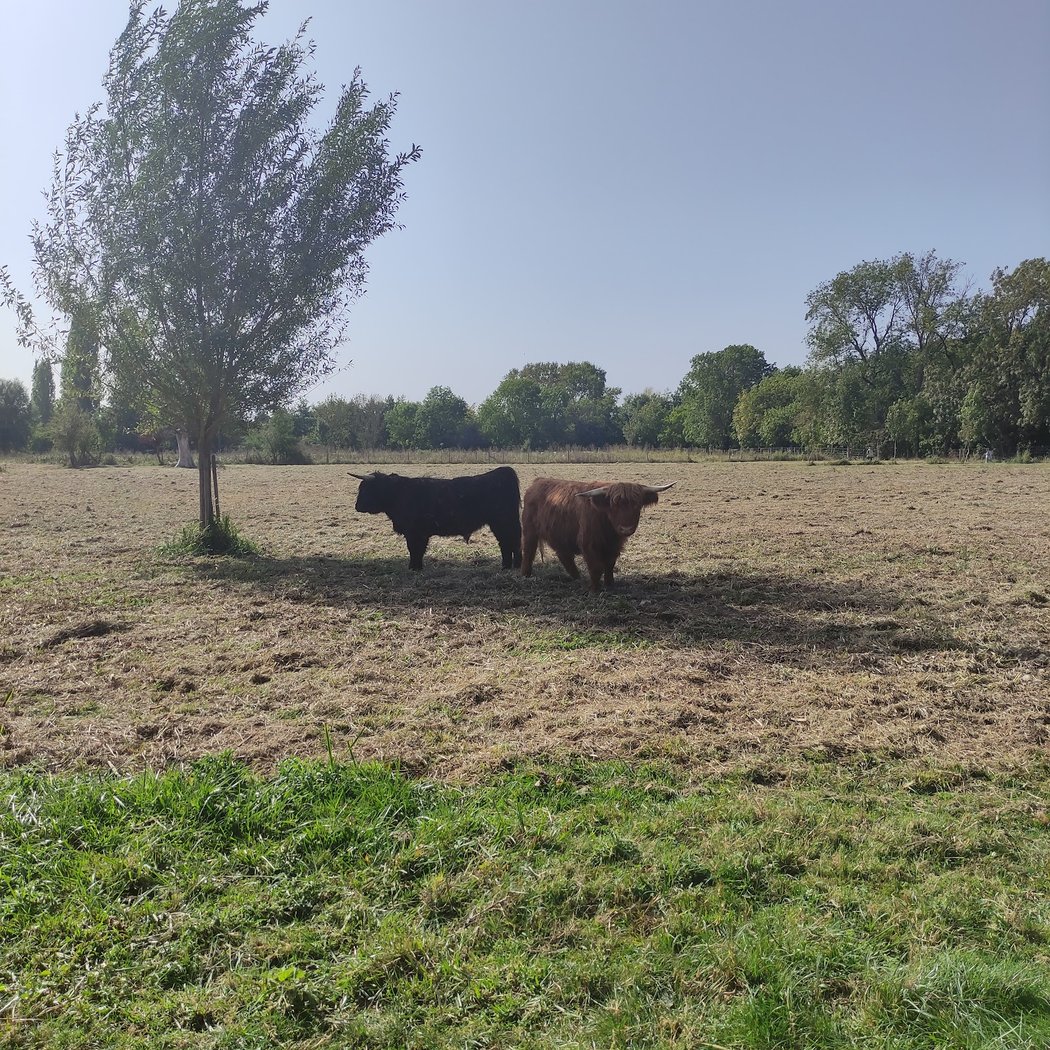Ecopark of Chènevièvres 4