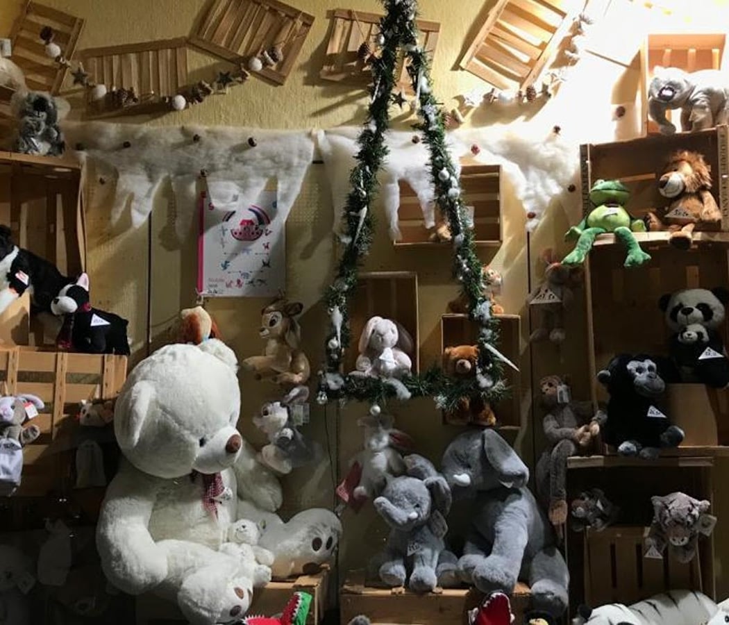 Jouets Ric 2