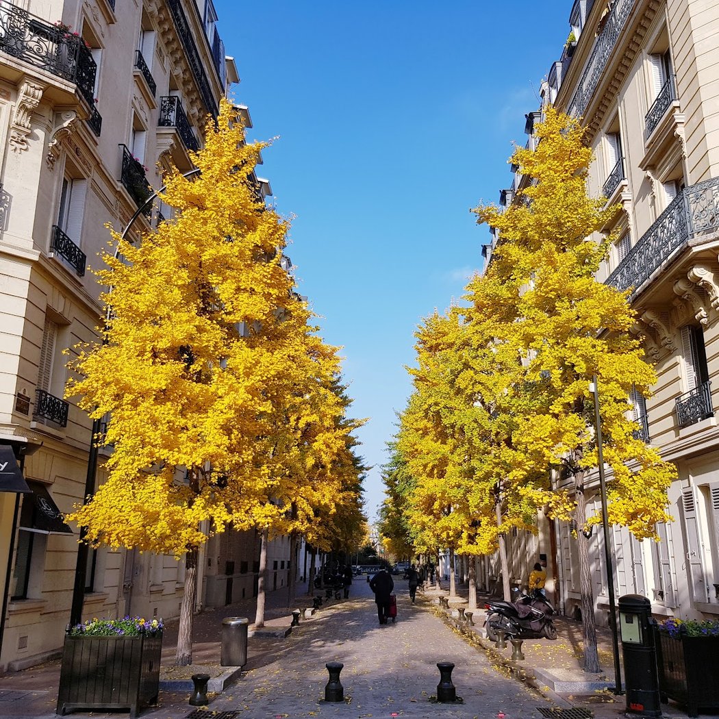 Levallois-Perret 1