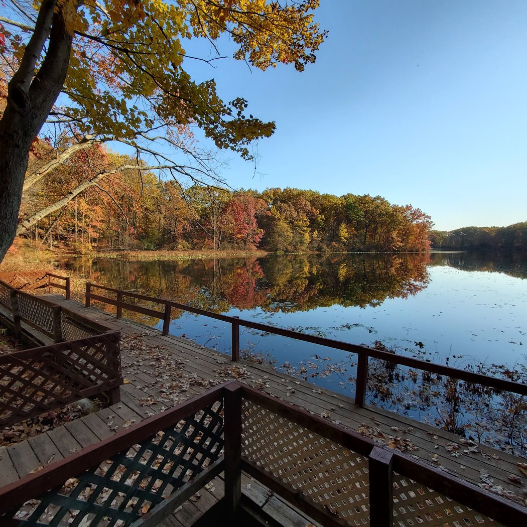 Greenbelt Conservancy Headquarters (High Rock Park) 1
