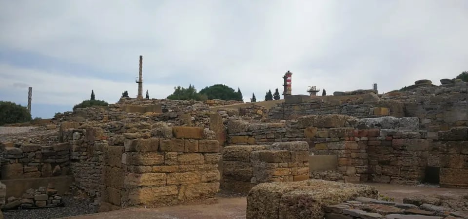 Navidea 2025: 'In vino veritas' 2