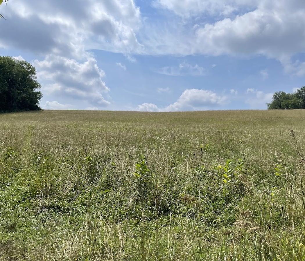 Marsh Creek State Park 2