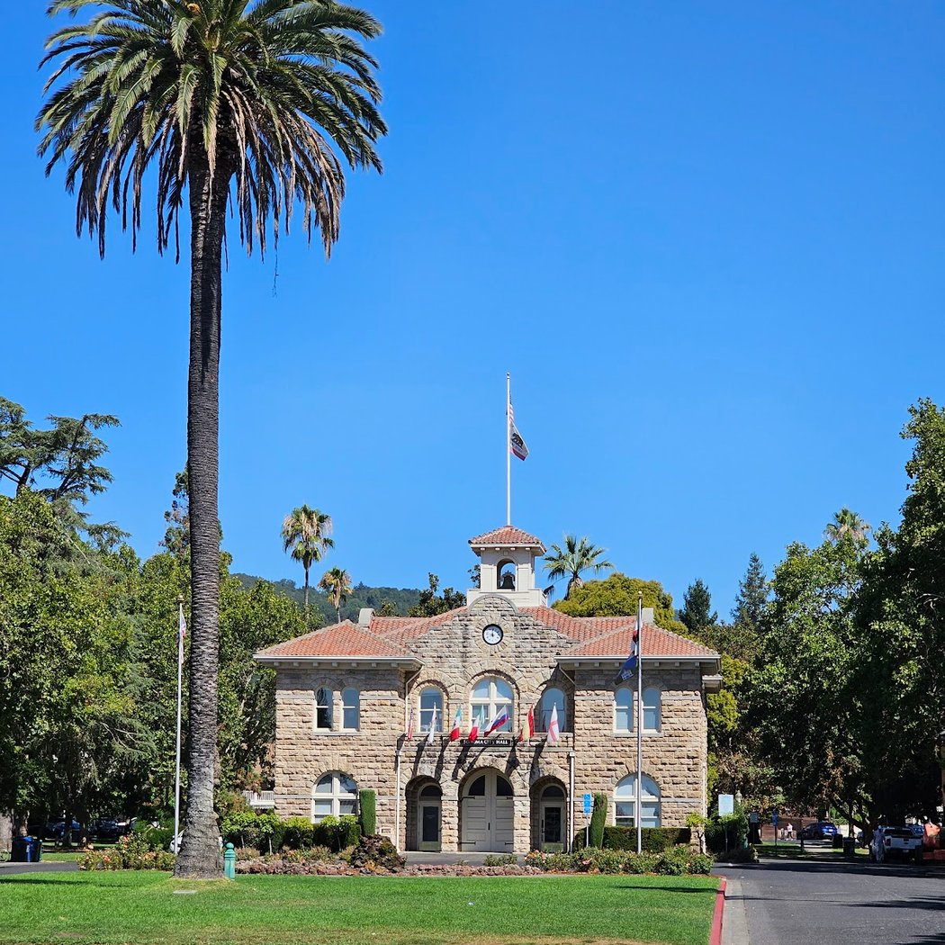 Outdoor Festival Celebrating the Beauty of Wine Country 3