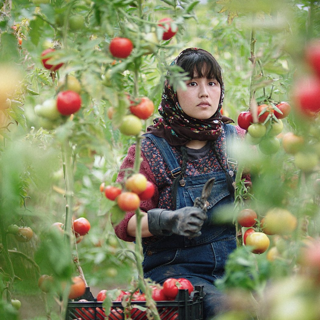 Cinema Tehran presents: In the Land of Brothers + Q&A 1