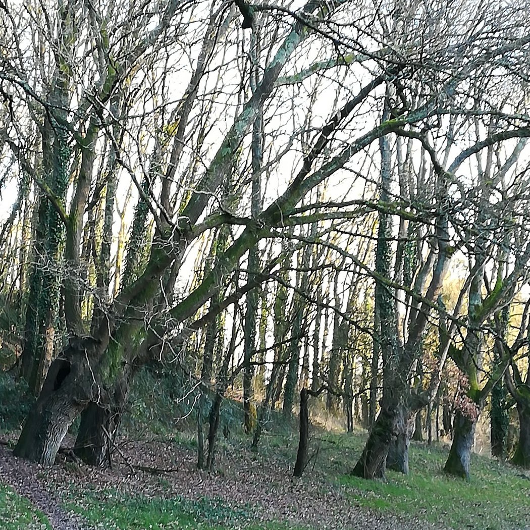 Visites libres ou guidées 2