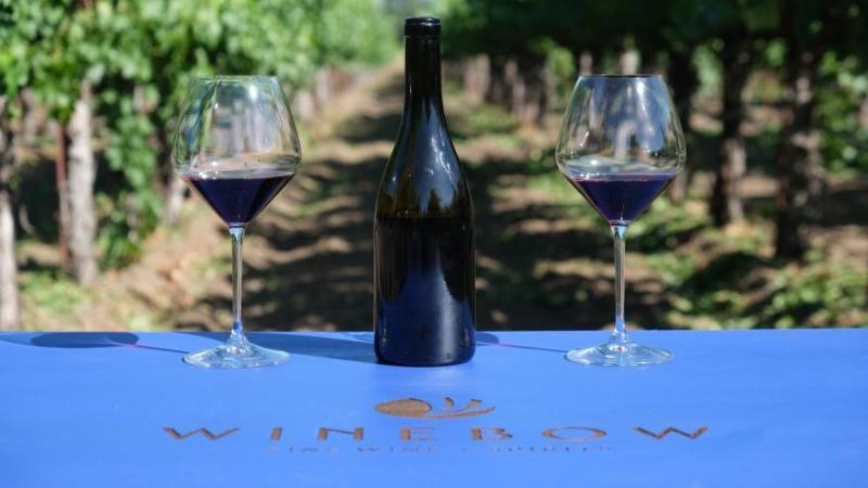 First Sip: Winebow Imports 1