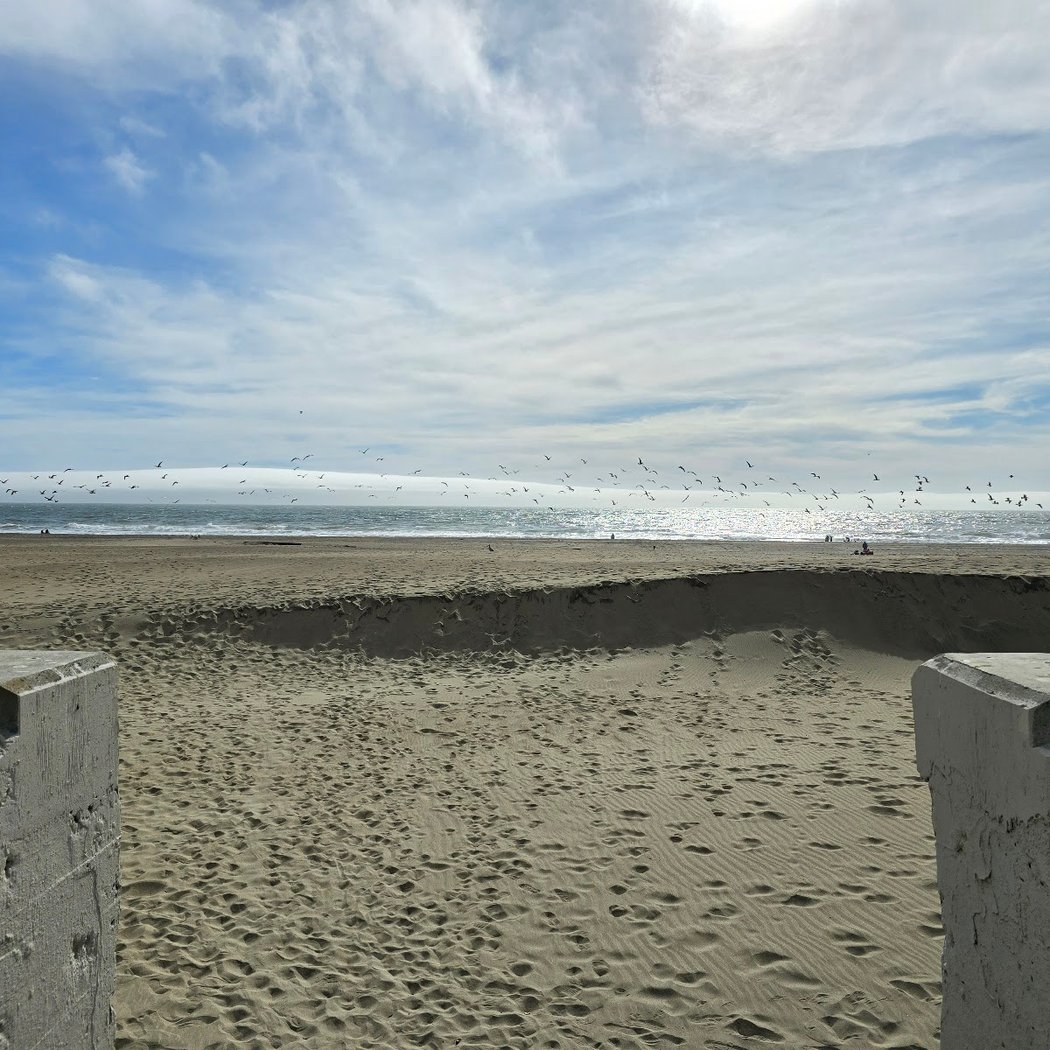 Free Community Art Making on the Beach - Let's Make Monumental Art Together! 3