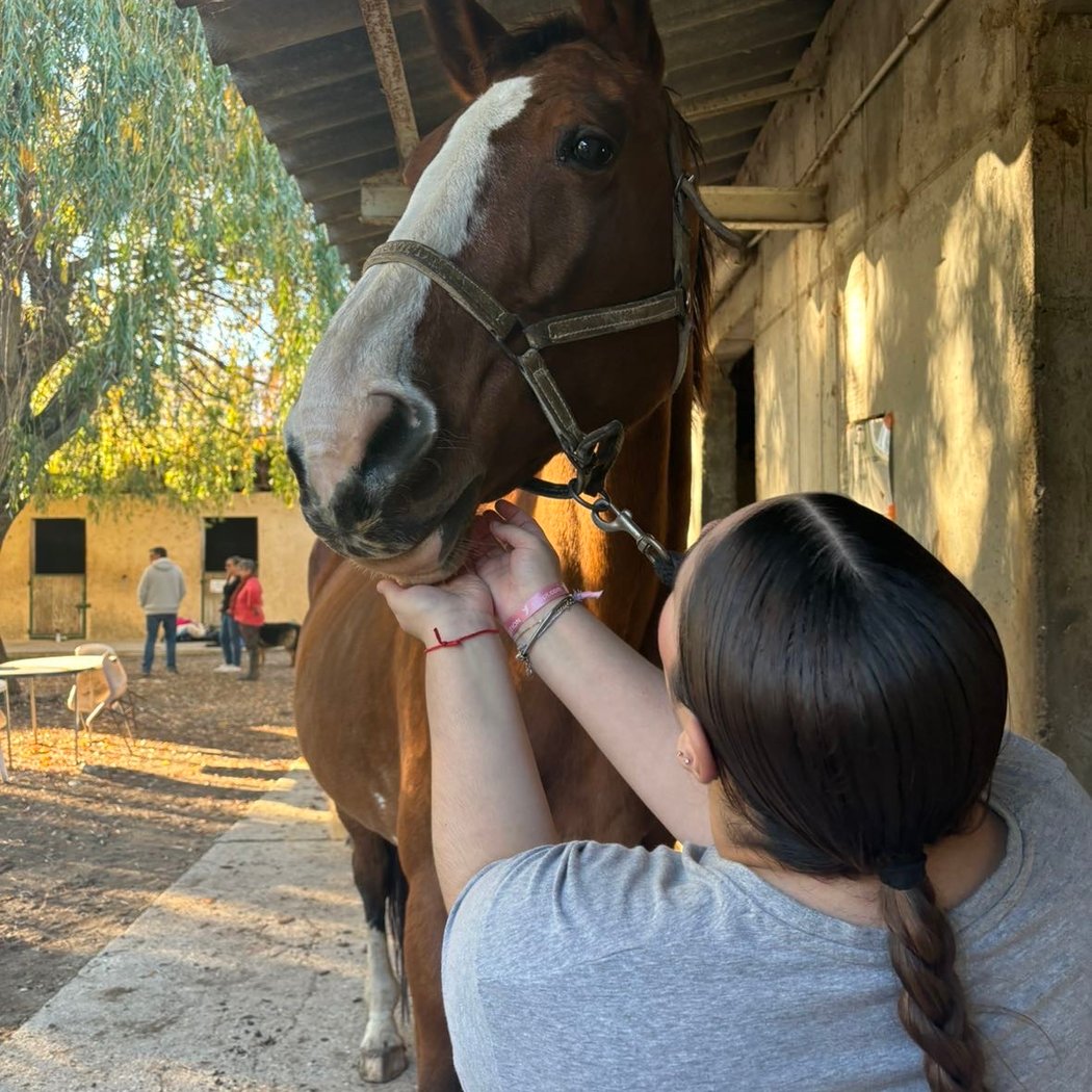Equestrian Center Le Pilon 3