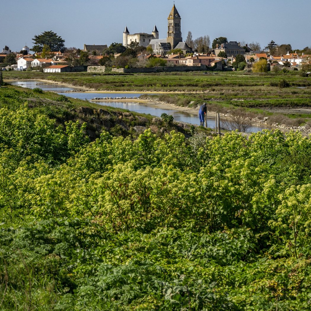 Réserve Naturelle du Marais de Mullëmbourg 2