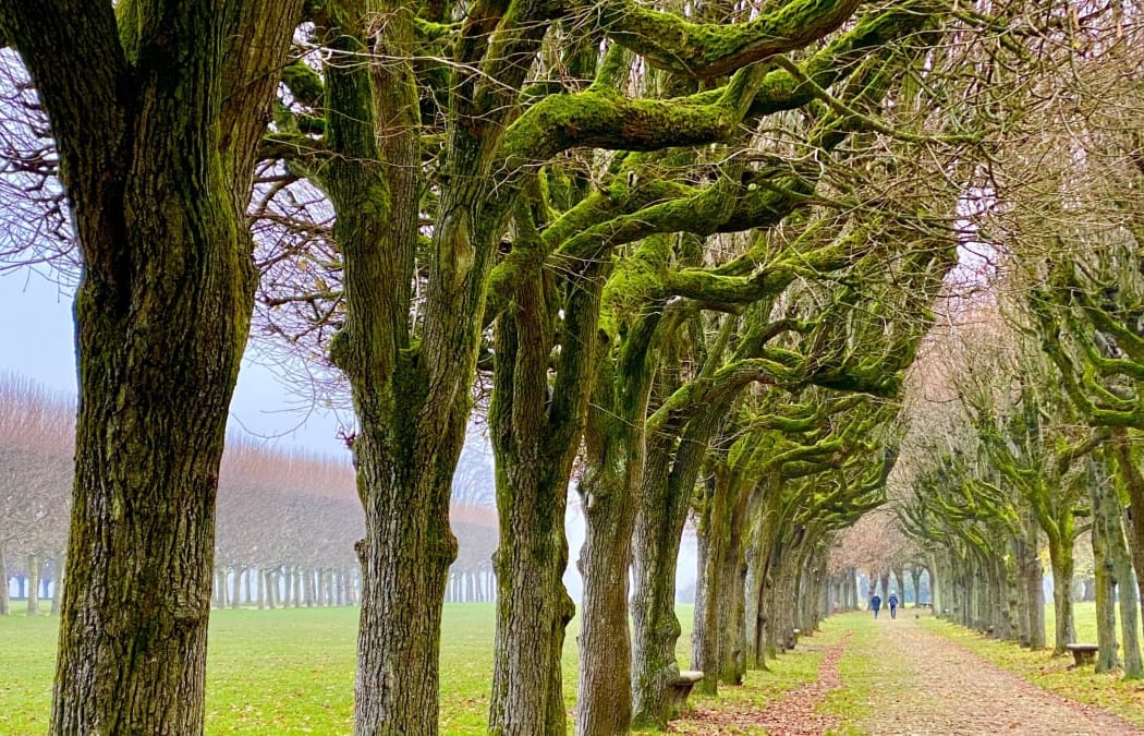 Balade Meudon 1