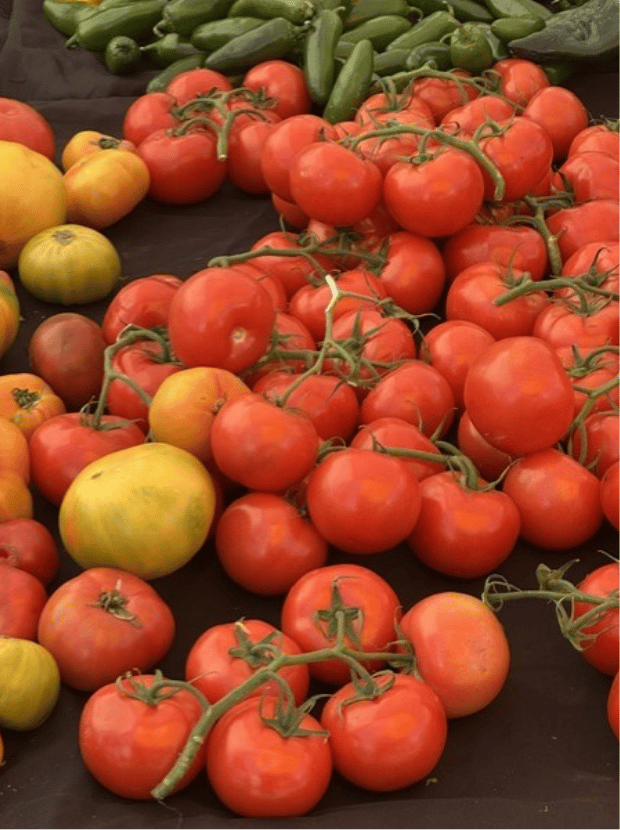 San Ramon Farmers Market 4