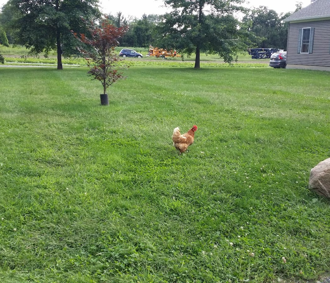 Taliaferro Farms 3