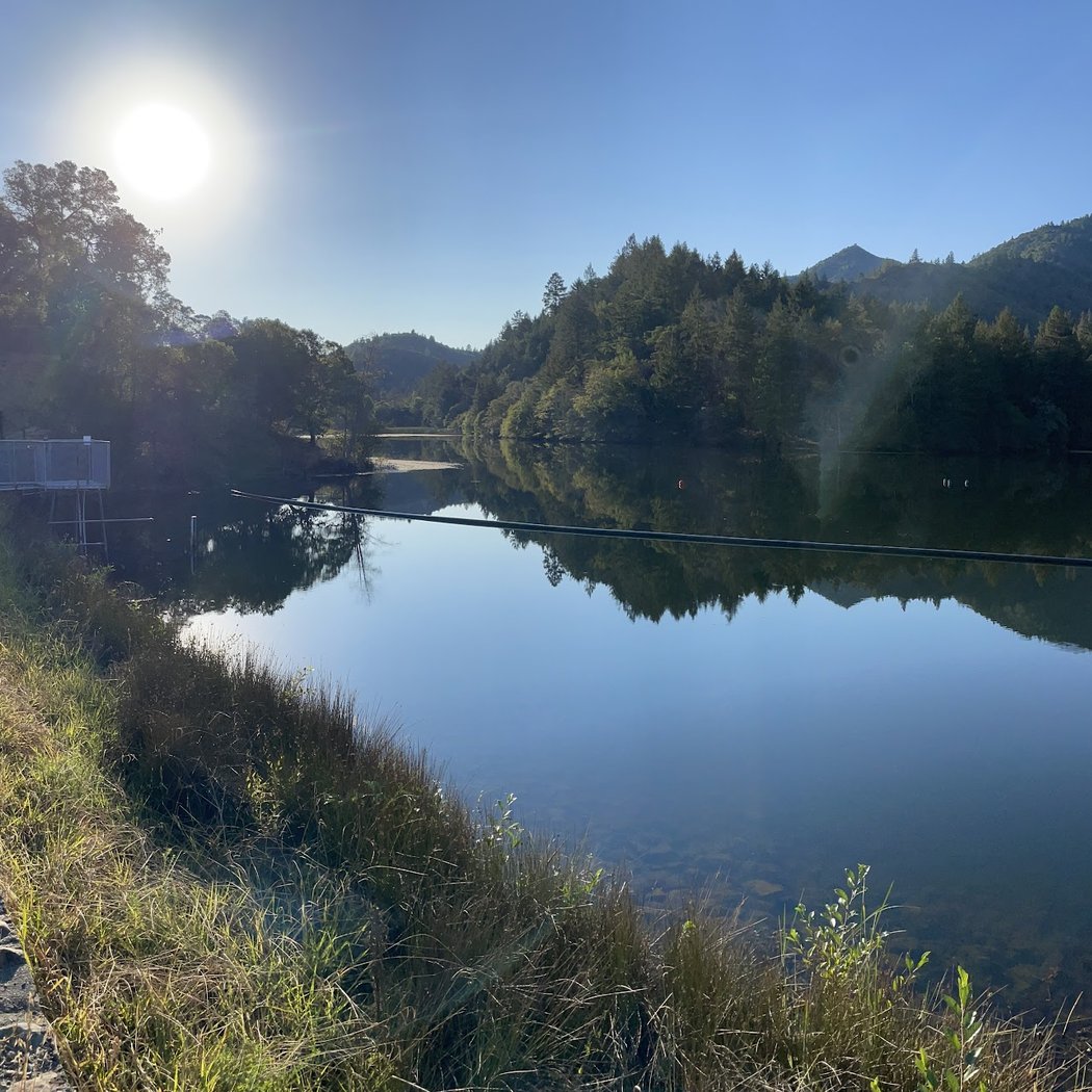 Rooted in Connection Guided Hike: Mount Tam Day of Thanks 2
