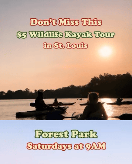 Wild Forest Park – Urban Wilderness Kayak Tours 1
