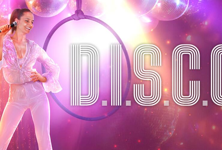 D.I.S.C.O