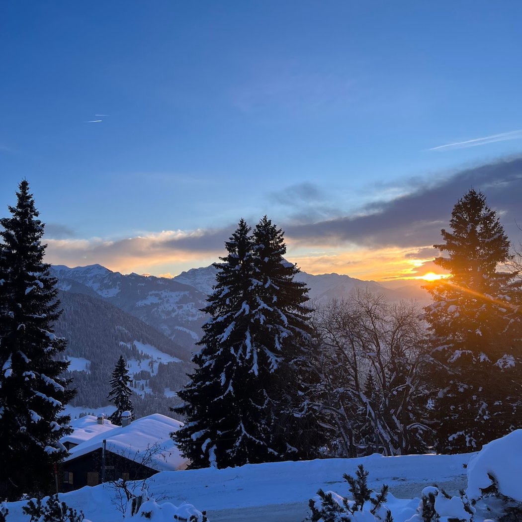 Télé-Villars-Gryon-Diablerets SA (TVGD) 2