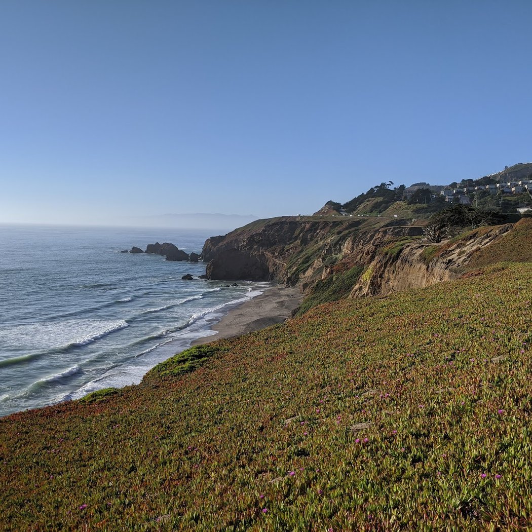 Pacific Coast Fog Festival 2