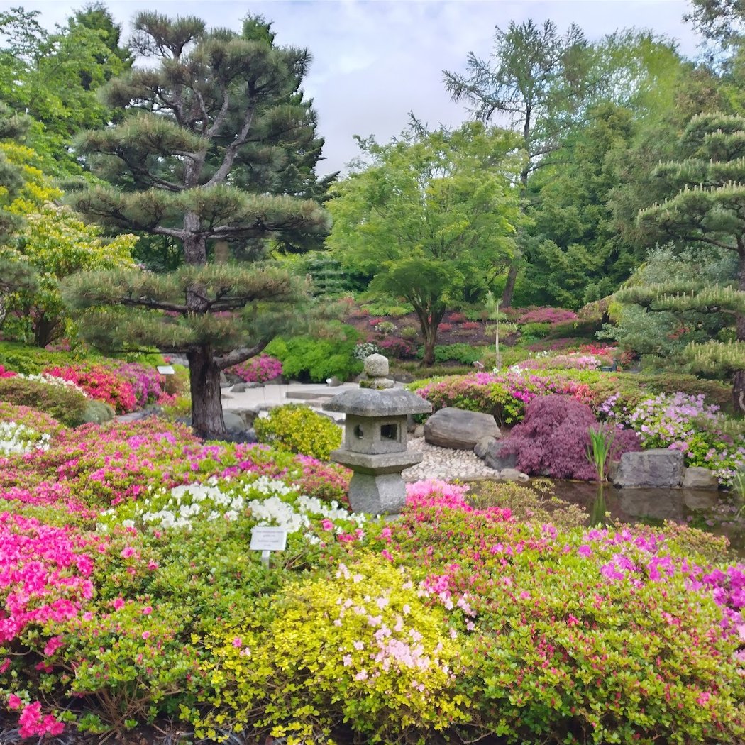 Loki Schmidt Garden Botanical of University Hamburg