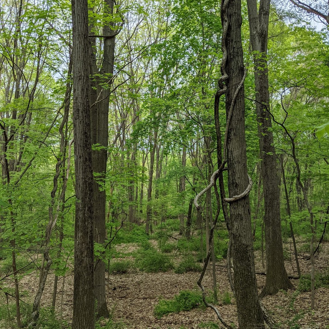 Esopus Bend Nature Preserve 3