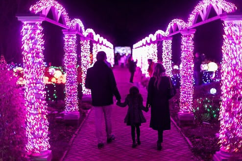 Winter Wonder Lights 3