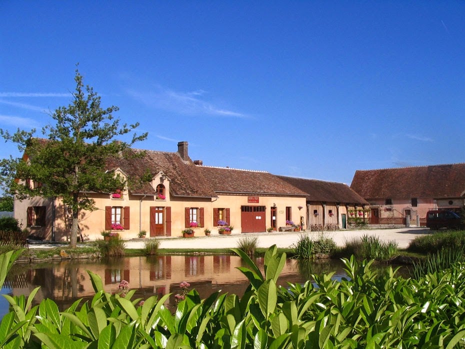 Farm Grenouillettes 1