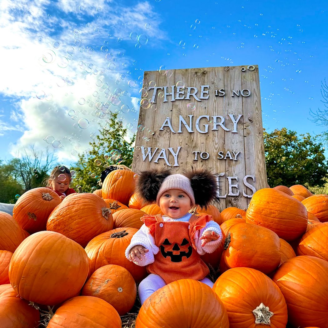 Pumpkin Patch 1