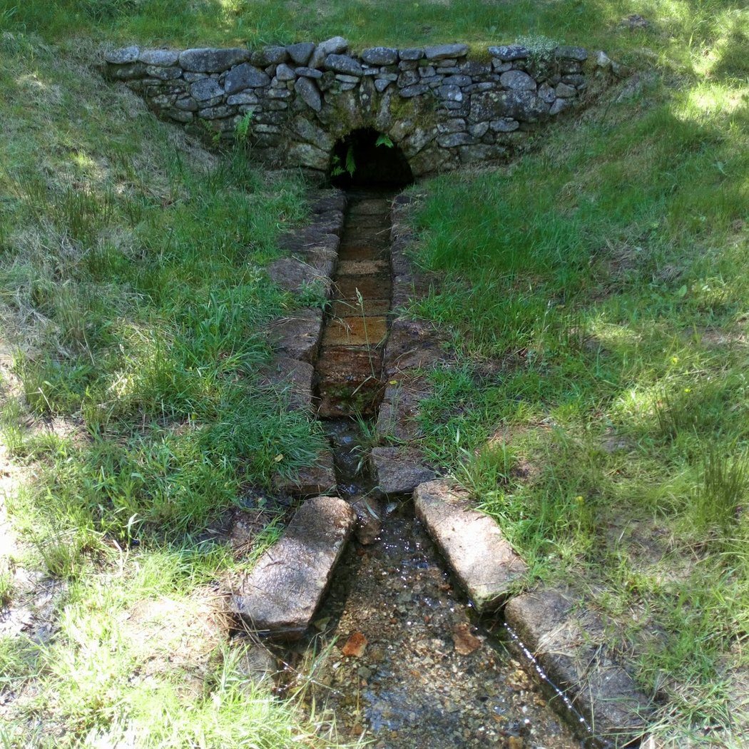 Source de la Vienne 1