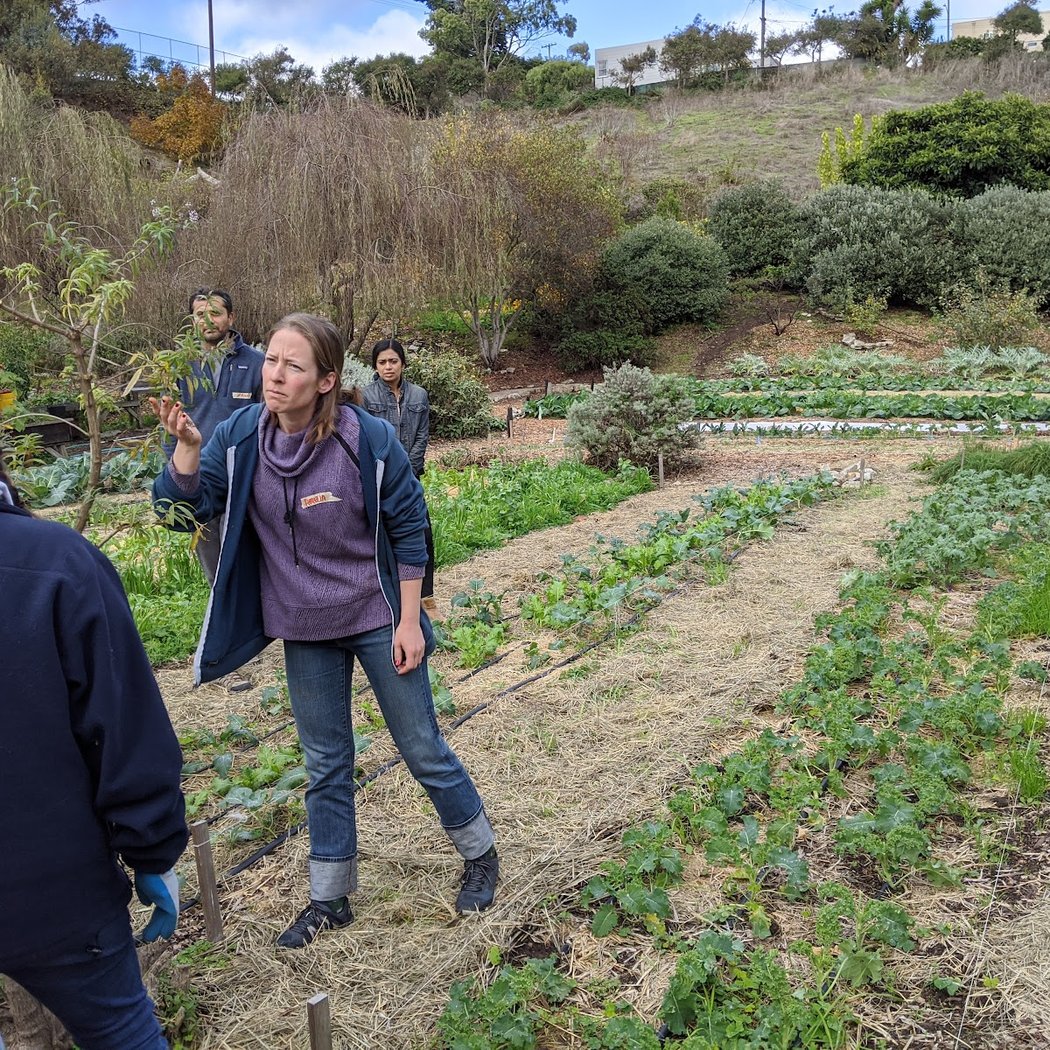 Birds of Alemany Farm: A Guided Bird Walk 3