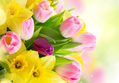 Easter Buffet 1