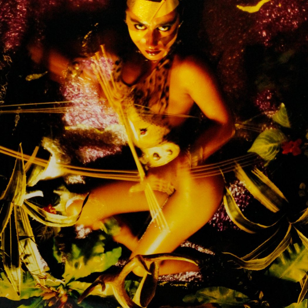 Collection Spotlight: Women Photographers 1