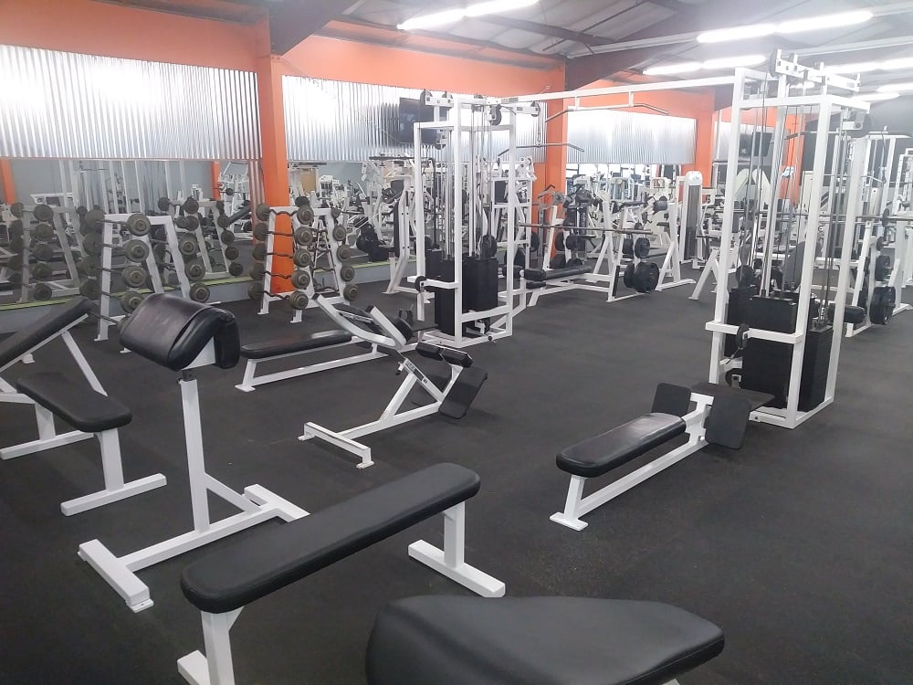 The Fitness Factory 1