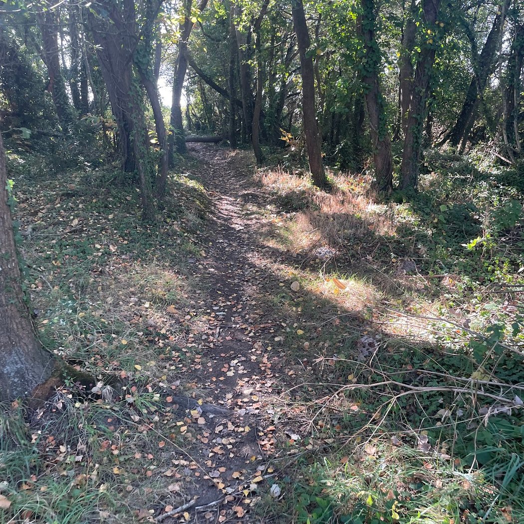 Circuit Les Marais 3