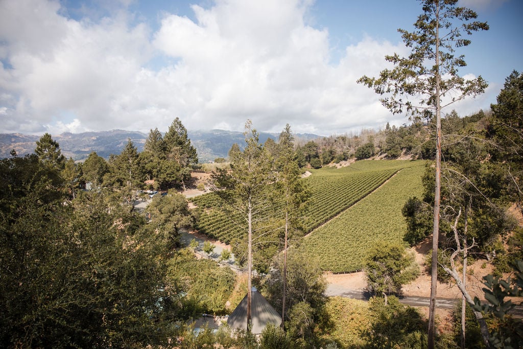 Forman Vineyard 1