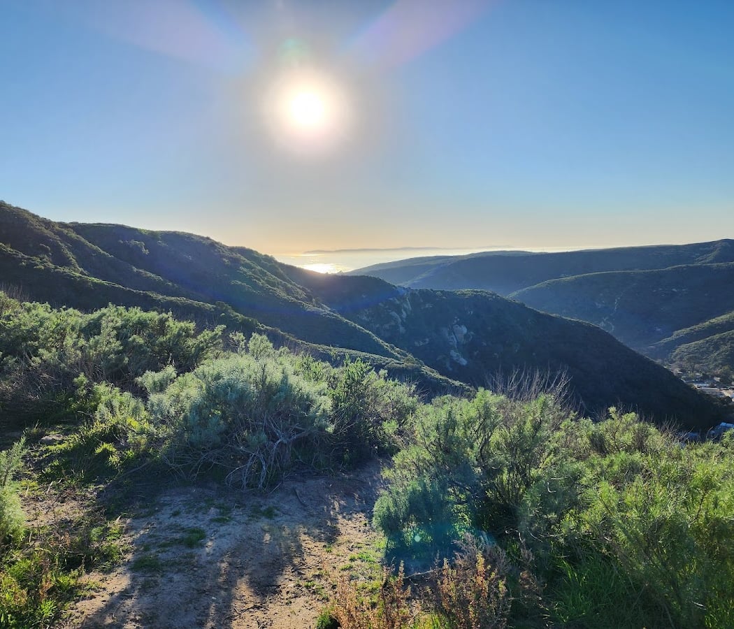 Aliso & Wood Canyons Wilderness Park 3