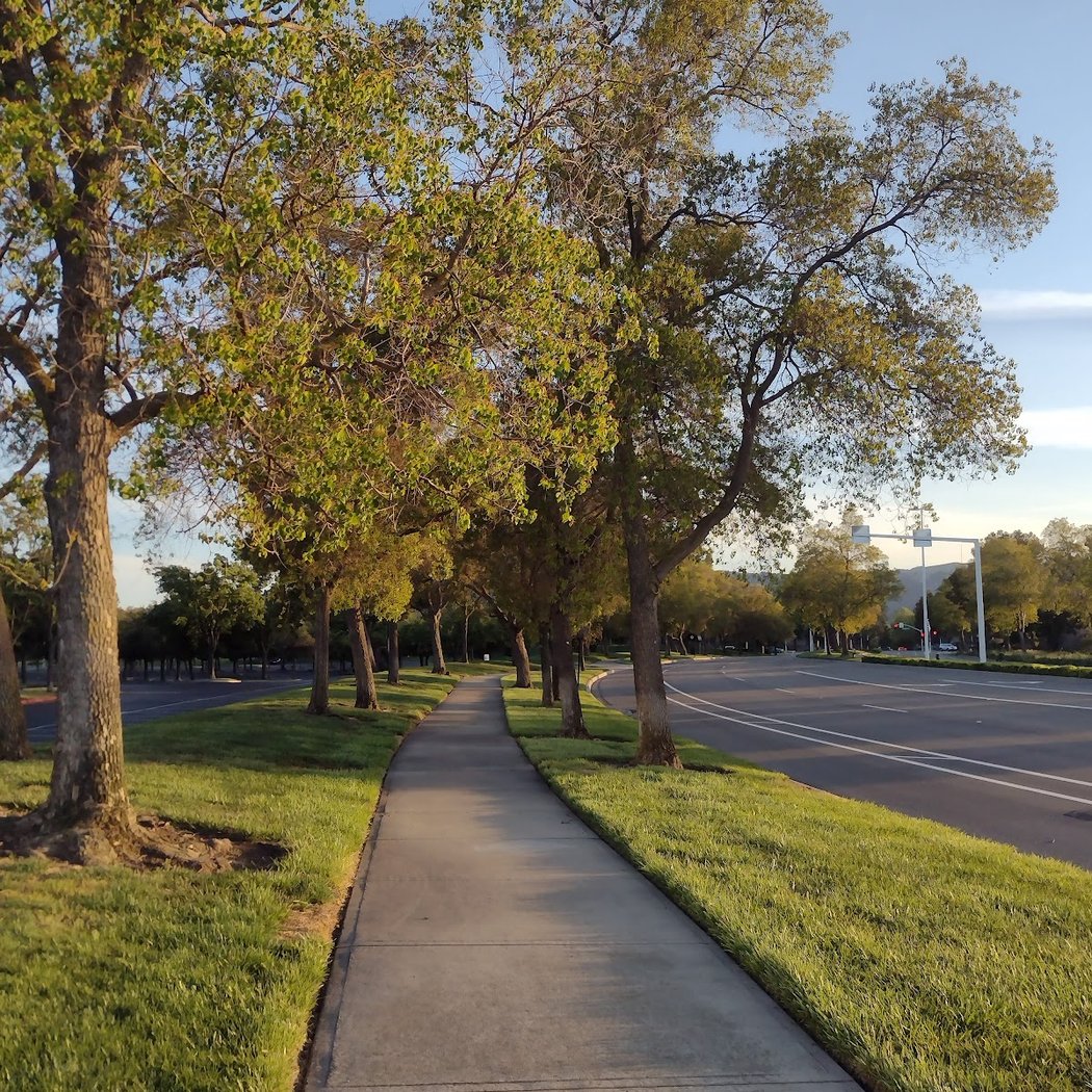 Rosewood Dr 3