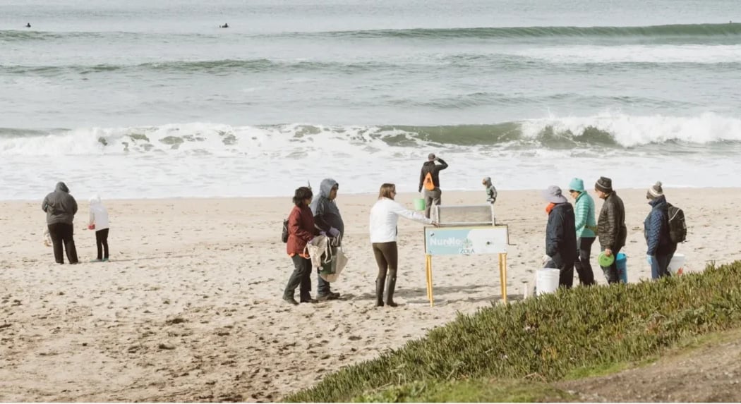 Monthly Beach Cleanups 1