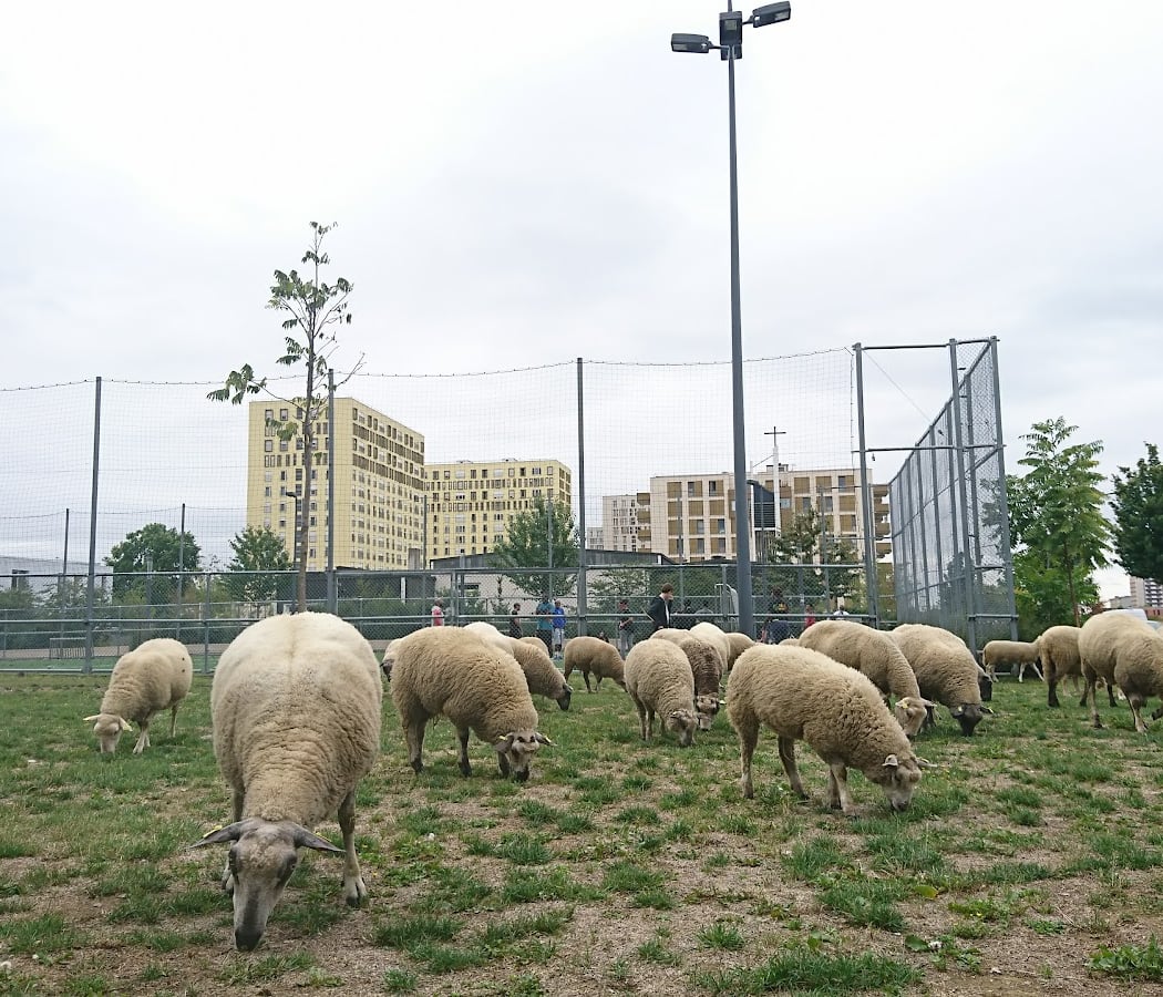 Pierrefitte-sur-Seine 1