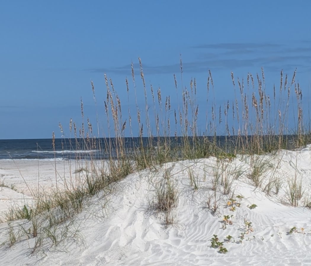 Anastasia State Park 2