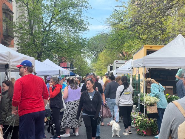 Troy Waterfront Farmers Market 3
