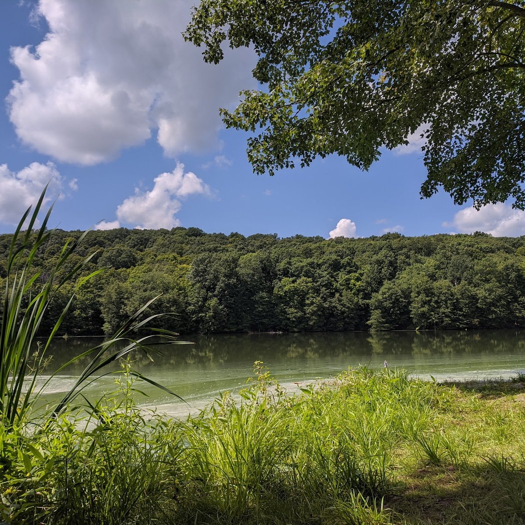 Winding Hills County Park 3