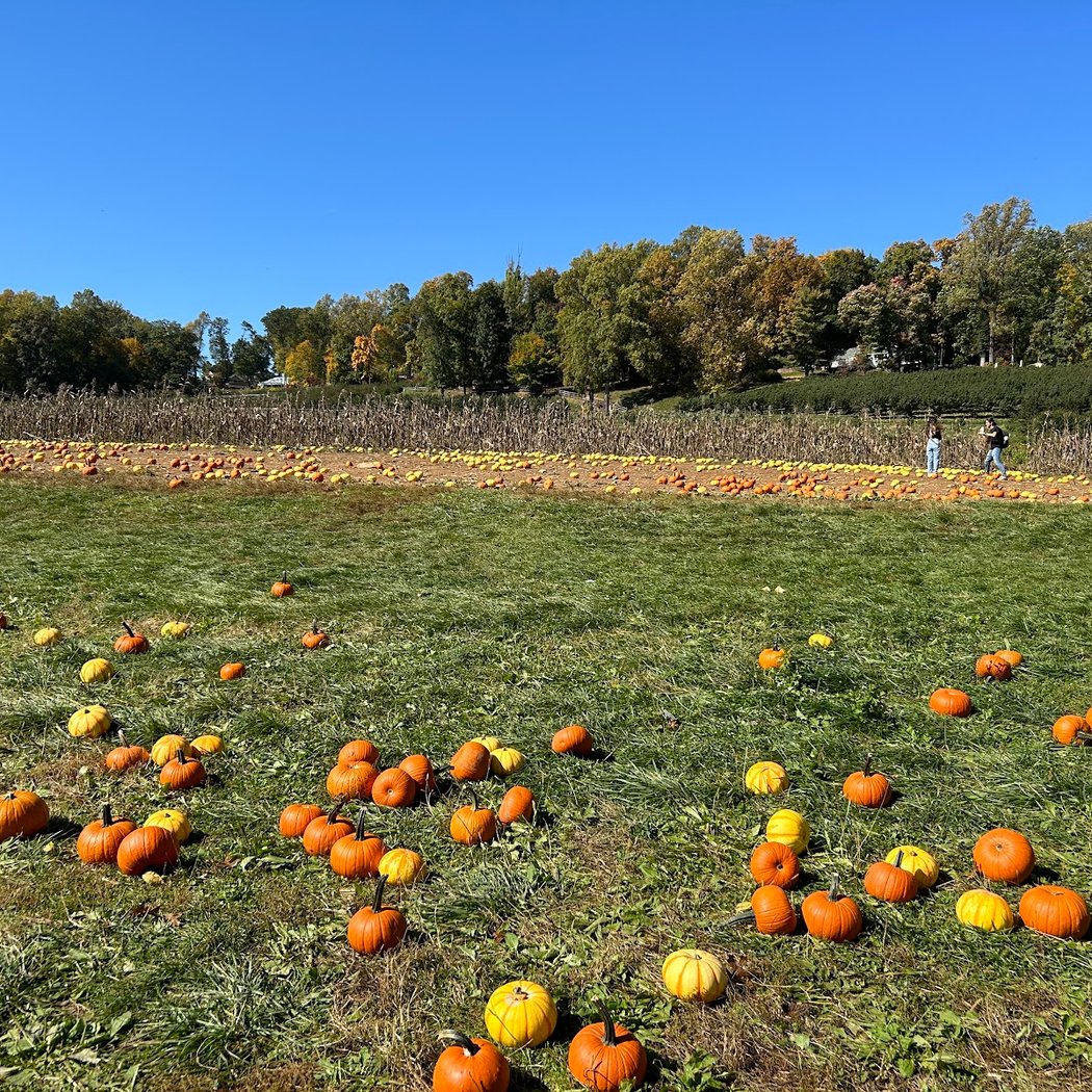 Wightman Farms 2