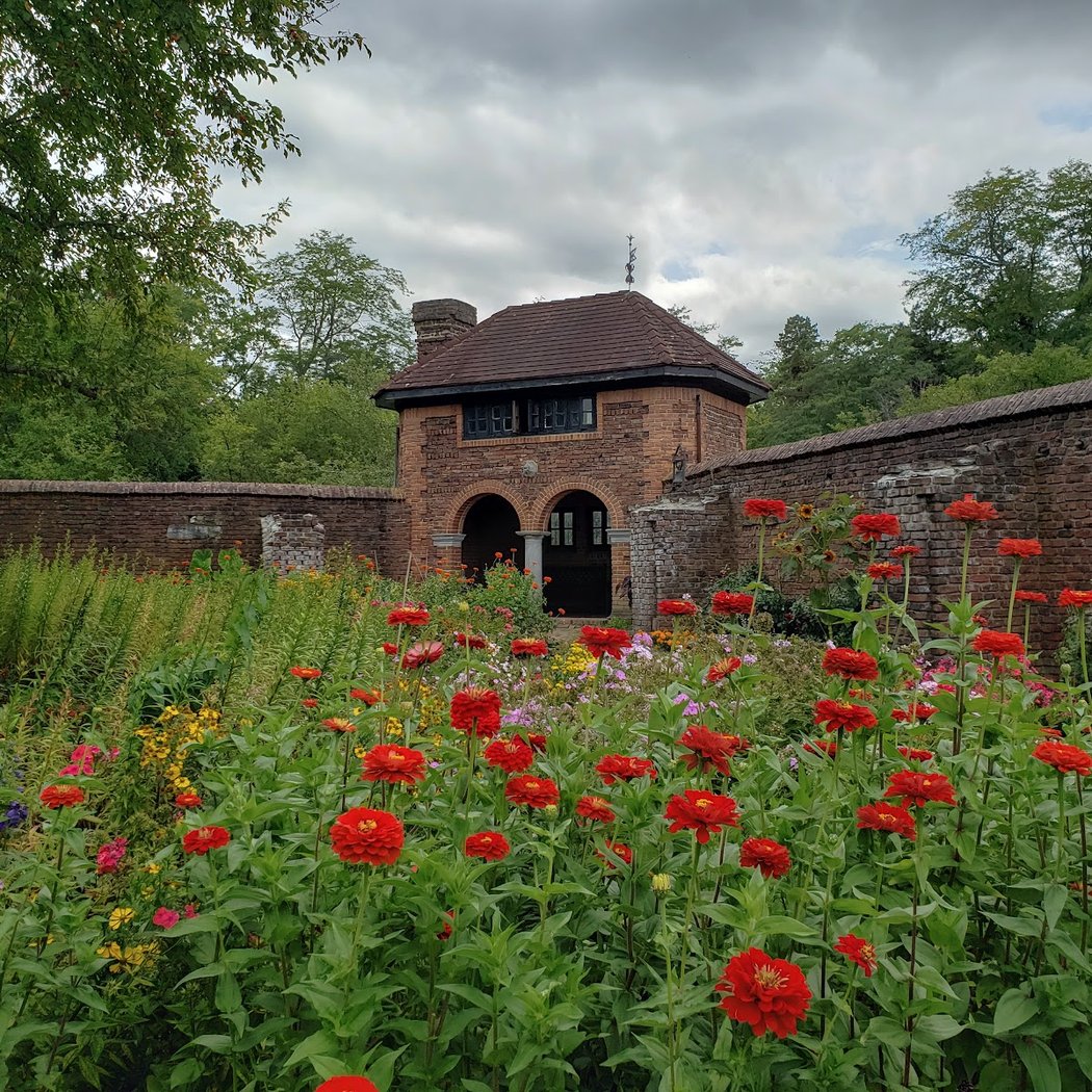 King's Garden 2