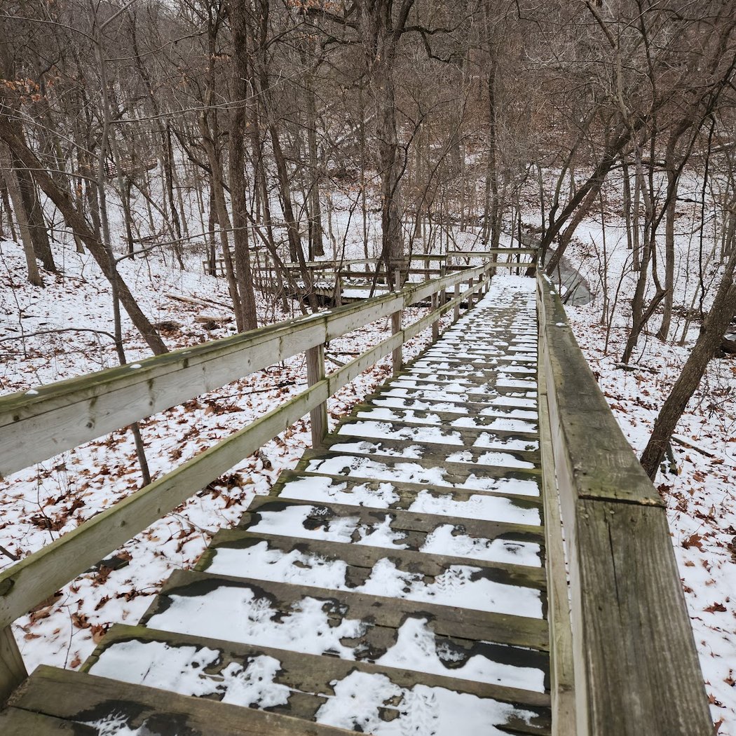 Margo Frankel Woods State Park 2