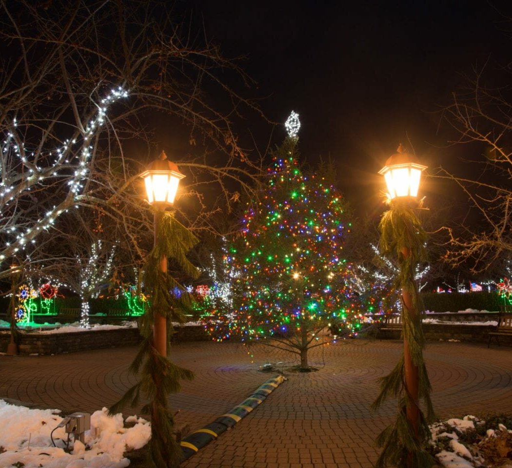 Holiday Light Display 1