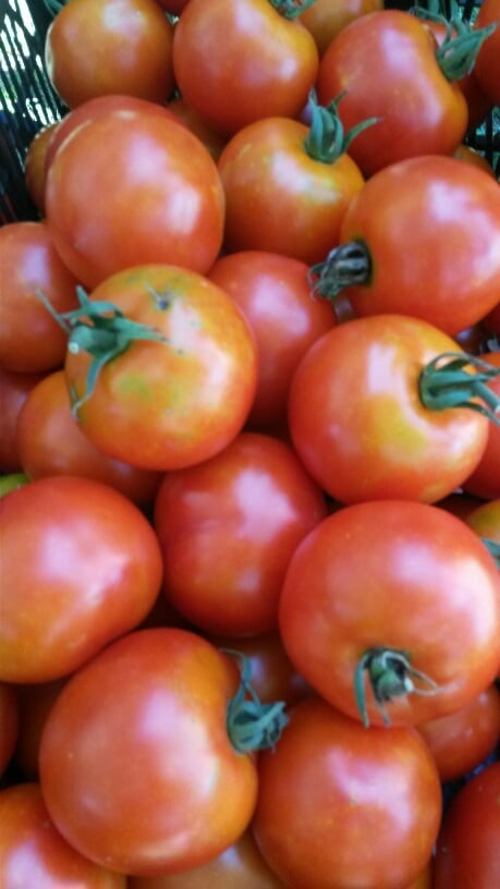 Original Cornwall Farm Market 2
