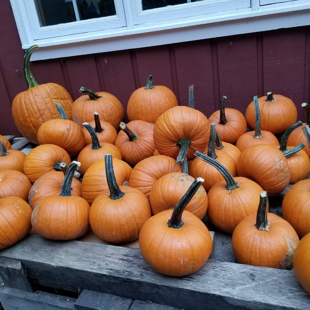 Thompson's Cider Mill and Orchard 3