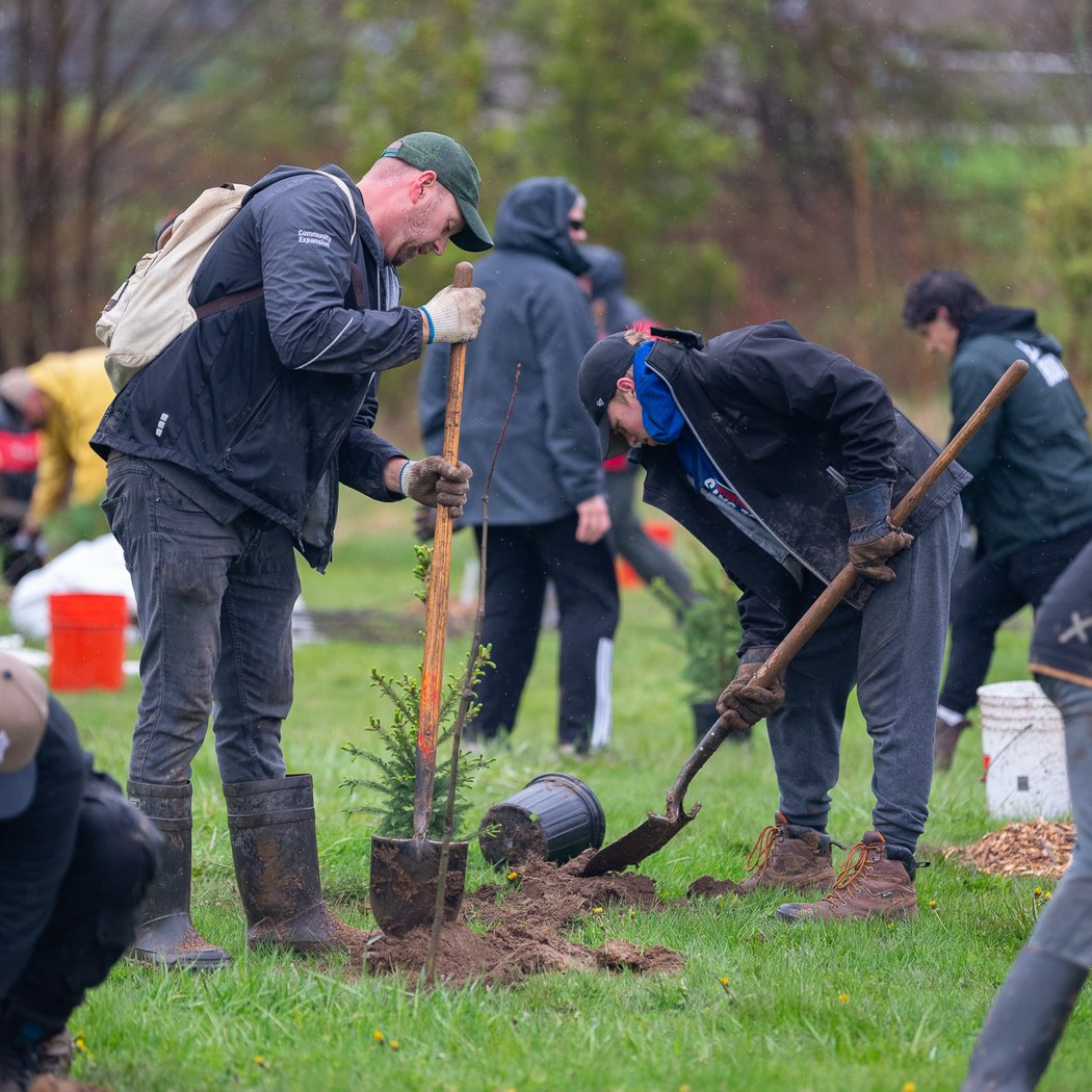 Public Tree Planting 1