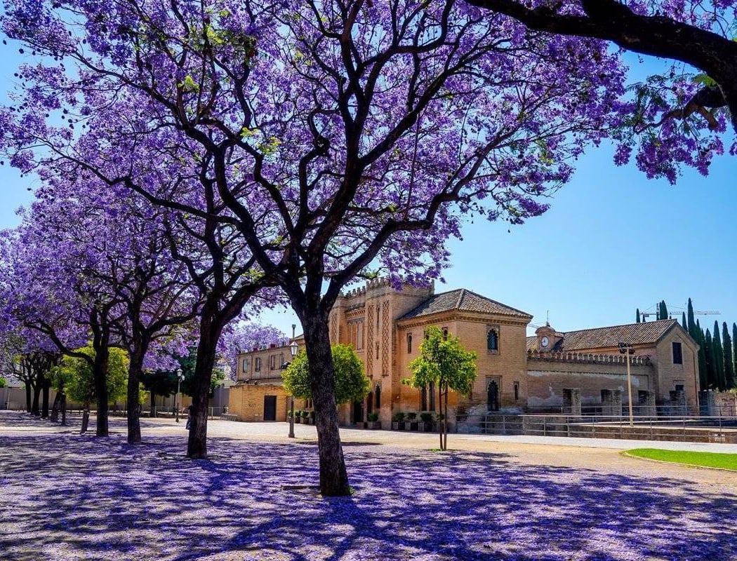 Jardines de la Buhaira 1