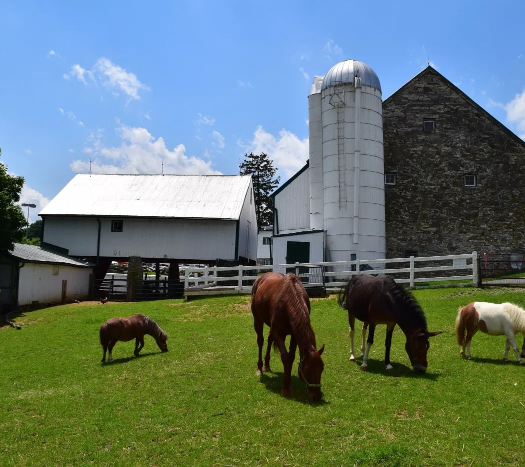 Amish Farm and House 2